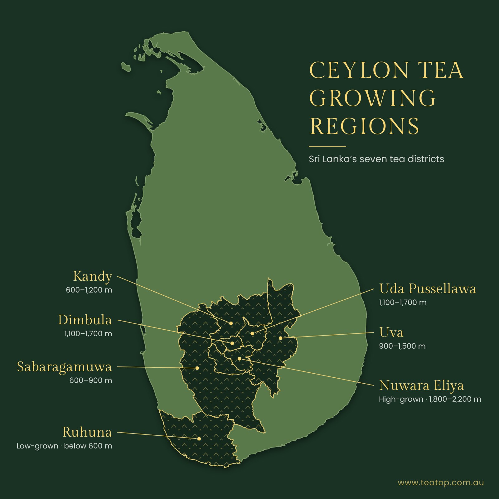 Map of Sri Lanka's Ceylon tea regions where TEA TOP teas are grown, including Uva, Dimbula, Kandy and Ruhuna